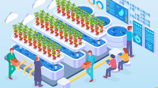 A Deep Dive into Aquaponics!