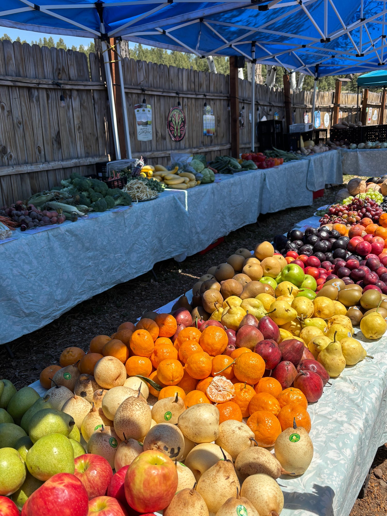 Fruit stand with a variety of fruits and vegetables at a farmers market.