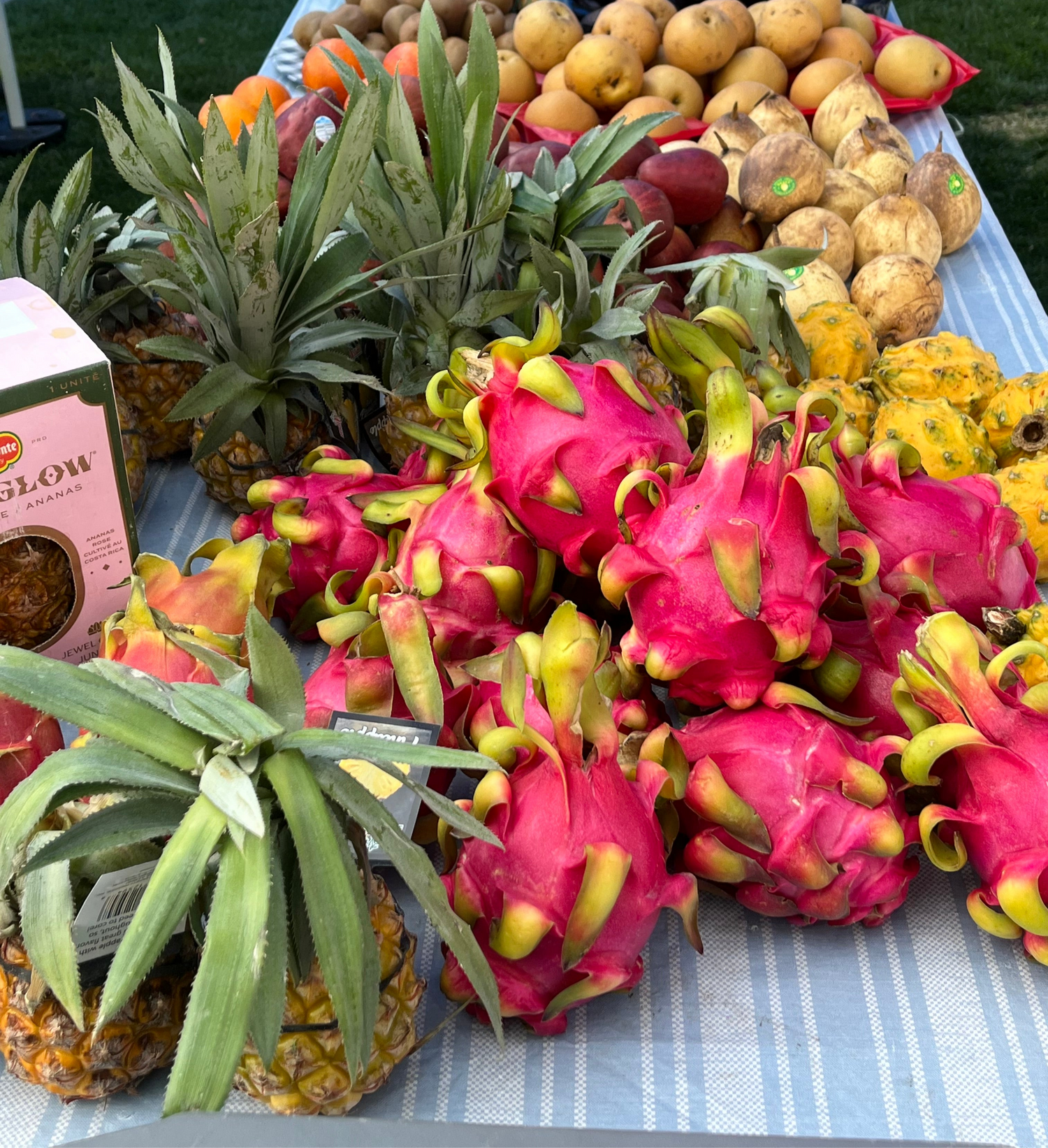 Picture showcasing exotic fruits such as dragon fruit and Asian pears on a table.