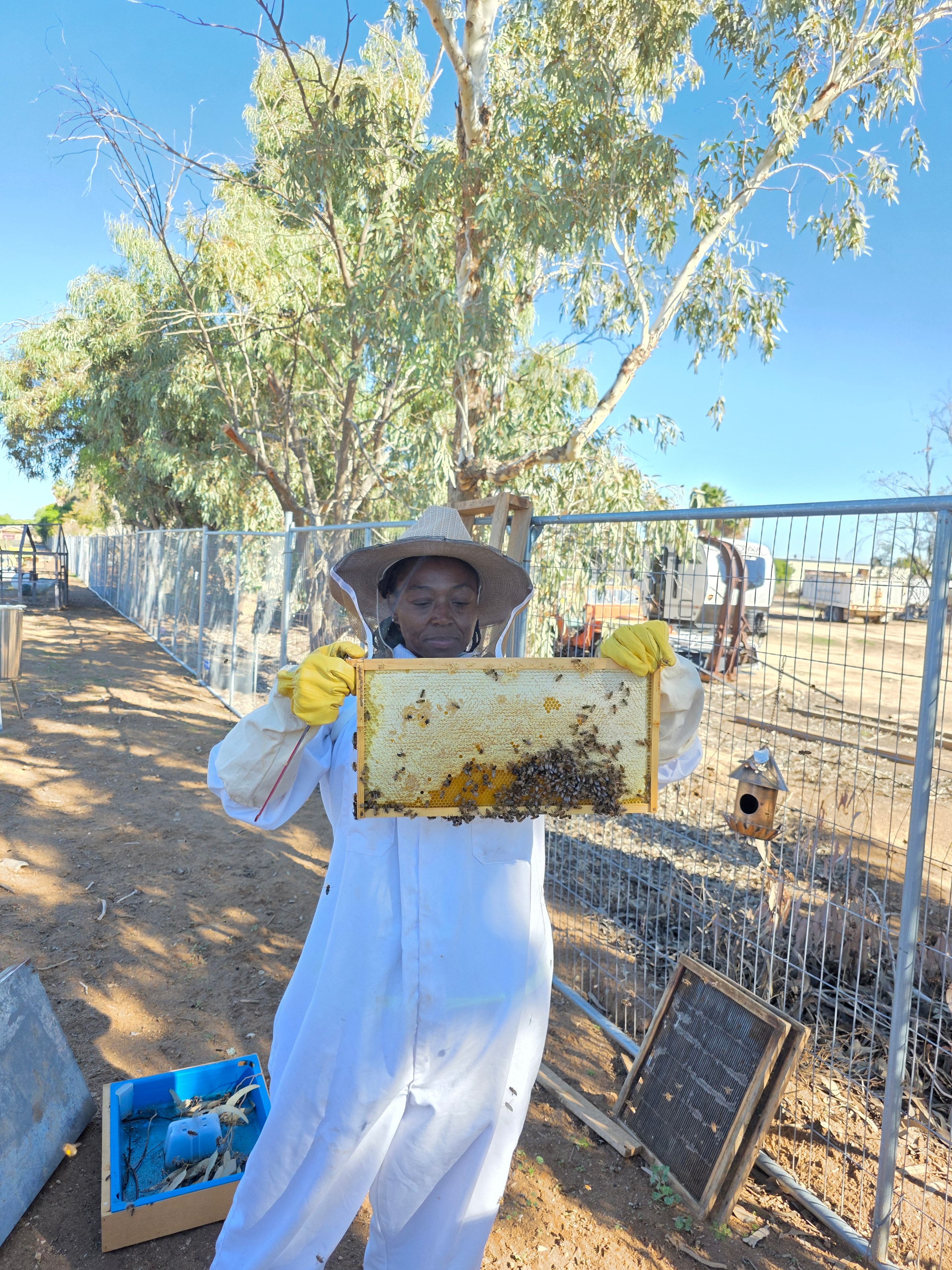 Growing fields at AZ Artisans Farms