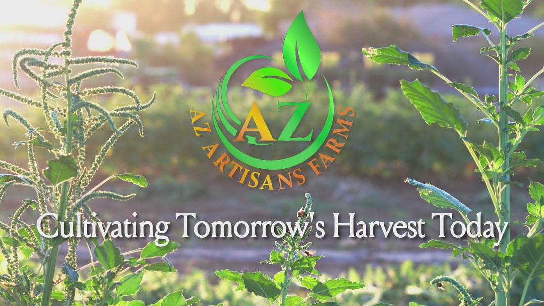 AZ Artisans Farms field