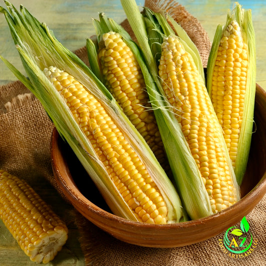 Sweet Corn
