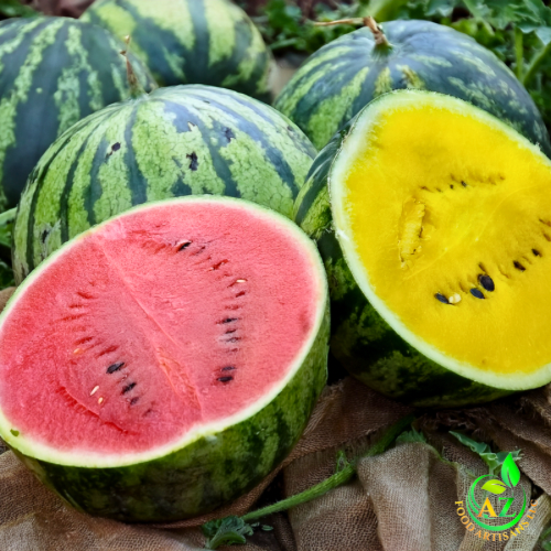 Watermelon