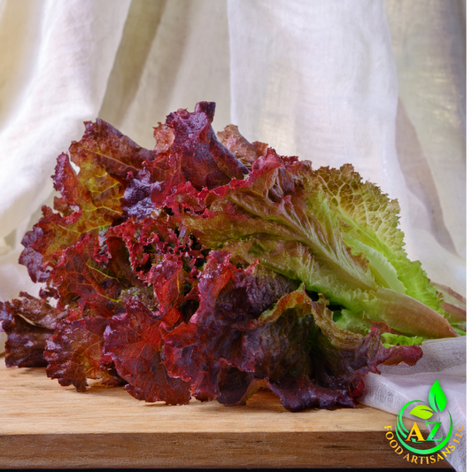 Red Leaf Lettuce